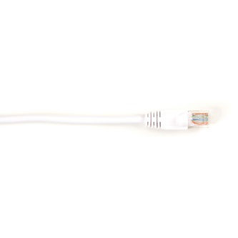 [CAT5EPC-010-WH] CAT5EPC-010-WH
