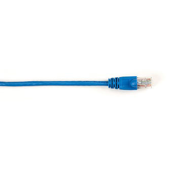 [IPP-BLB-CAT6PC-007-BL] CAT6PC-007-BL
