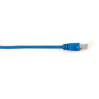 CAT6PC-010-BL