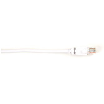 CAT6PC-010-WH