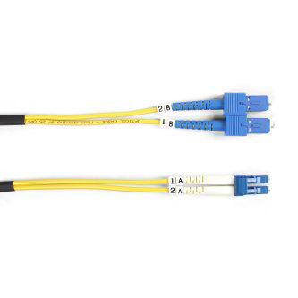 [IPP-BLB-FOSM-002M-SCLC] FOSM-002M-SCLC