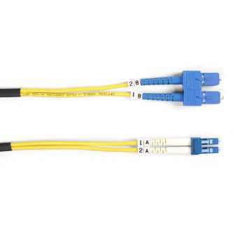 [IPP-BLB-FOSM-003M-SCLC] FOSM-003M-SCLC