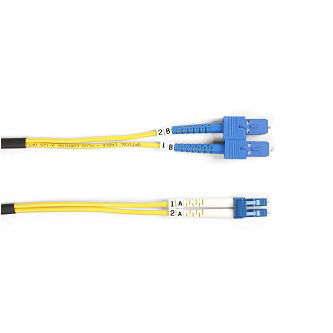[IPP-BLB-FOSM-005M-SCLC] FOSM-005M-SCLC