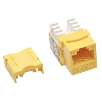 [IPP-EAT-N238-001-YW] N238-001-YW