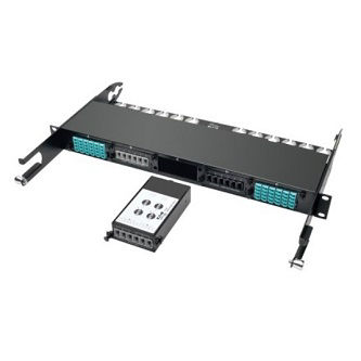 2 x 24 Fiber MTP/MPO to 6 x 12