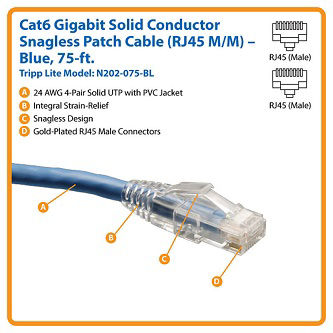 Cat6 Cable (RJ45 M/M),PoE,Blue,75 ft.