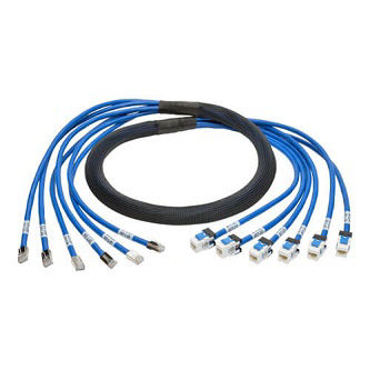 Aug Cat6/6a Pre-Terminated Cop